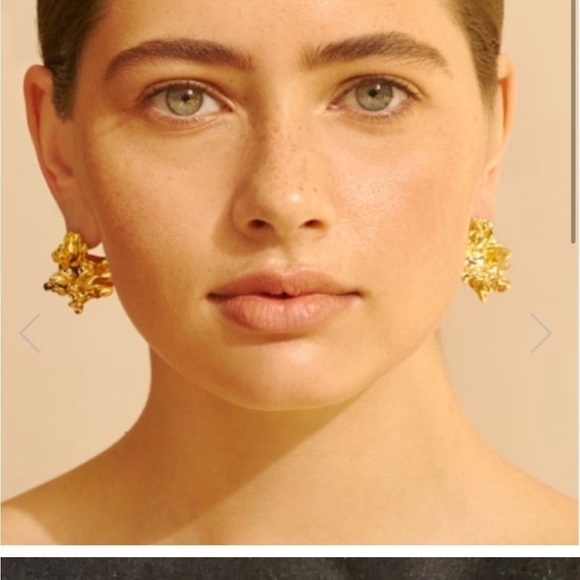 Amber Sceats Reese 24k Gold GP Reese PIERCED/post 
Earrings Gold Nugget new - Picture 11 of 12